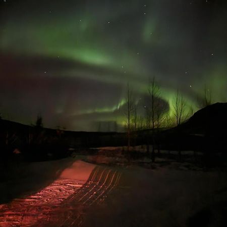 Golden Circle Cabin, Hot Tub Geysir Exterior foto