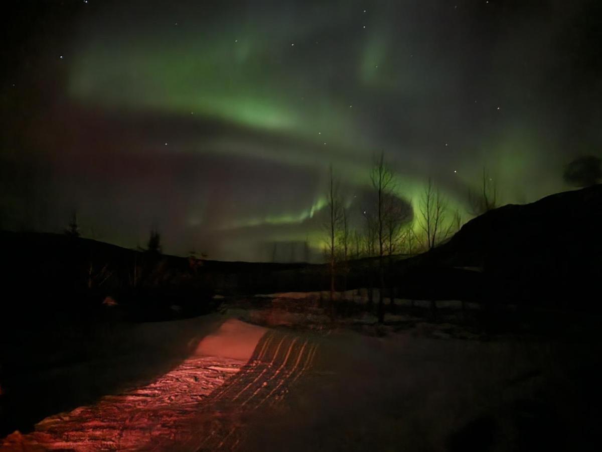Golden Circle Cabin, Hot Tub Geysir Exterior foto