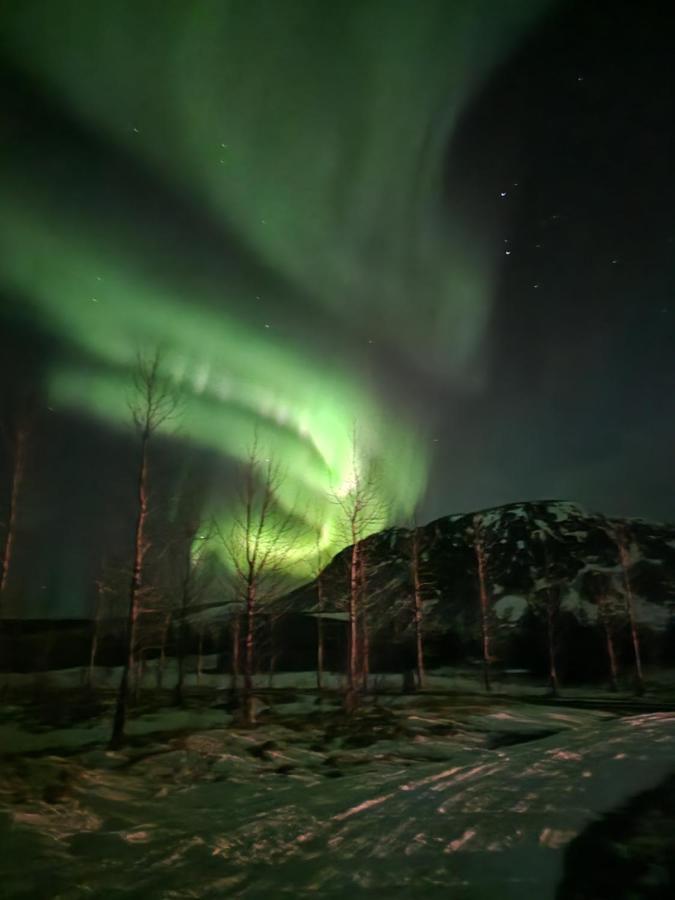 Golden Circle Cabin, Hot Tub Geysir Exterior foto